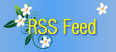 russian women rss feed